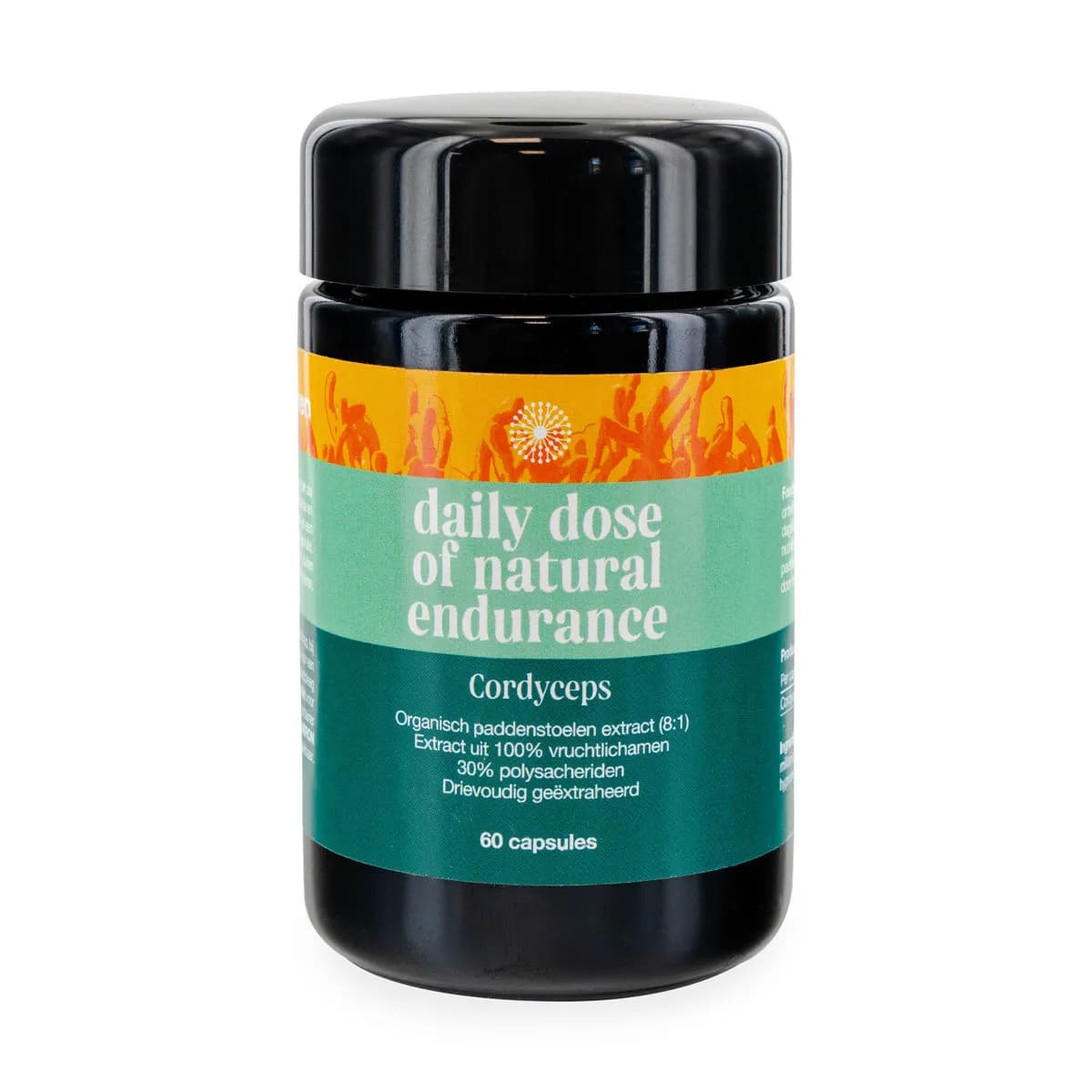 Cordyceps-sienikapselit Foodsporen