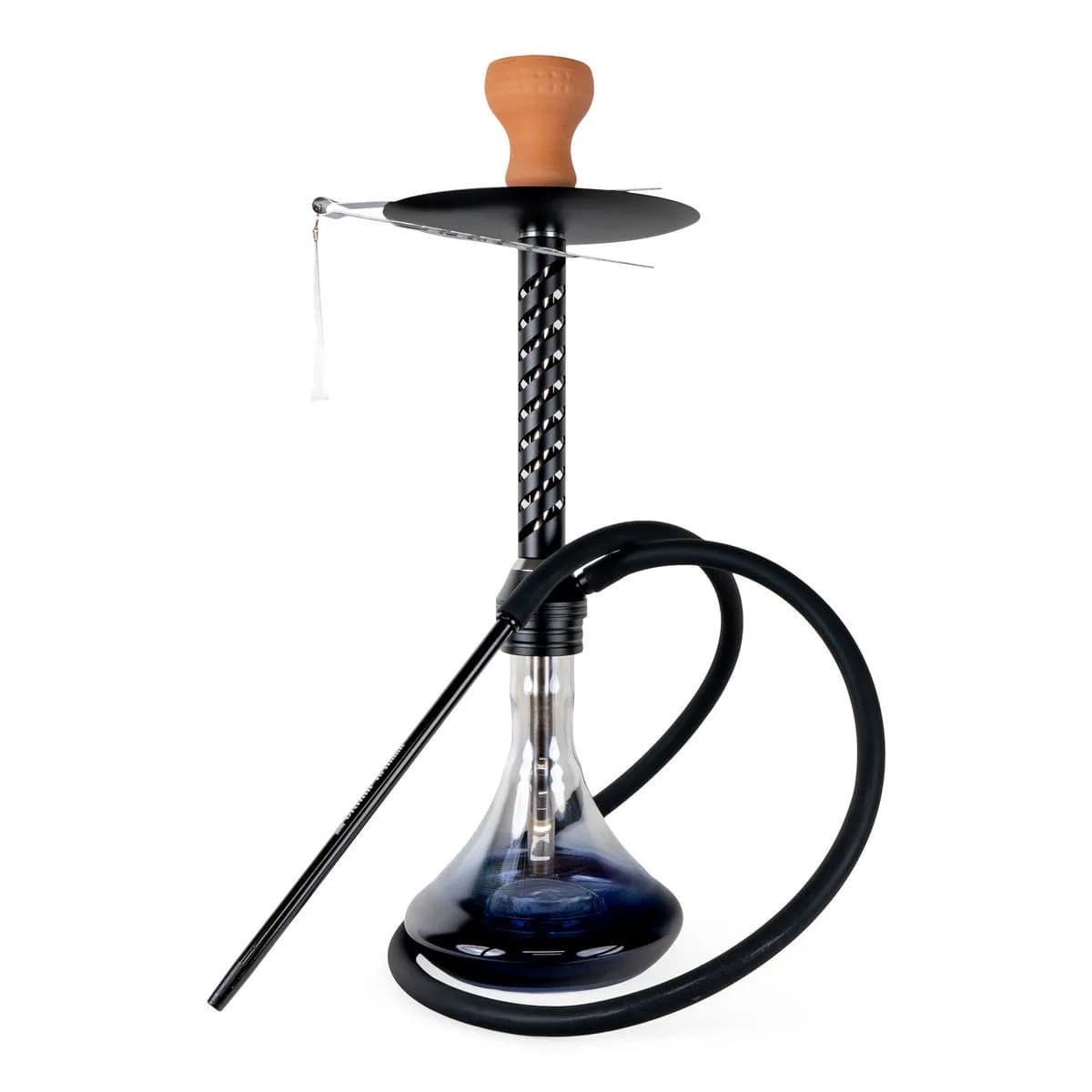 Jorf lasishisha 57cm (Champ Al Malik)
