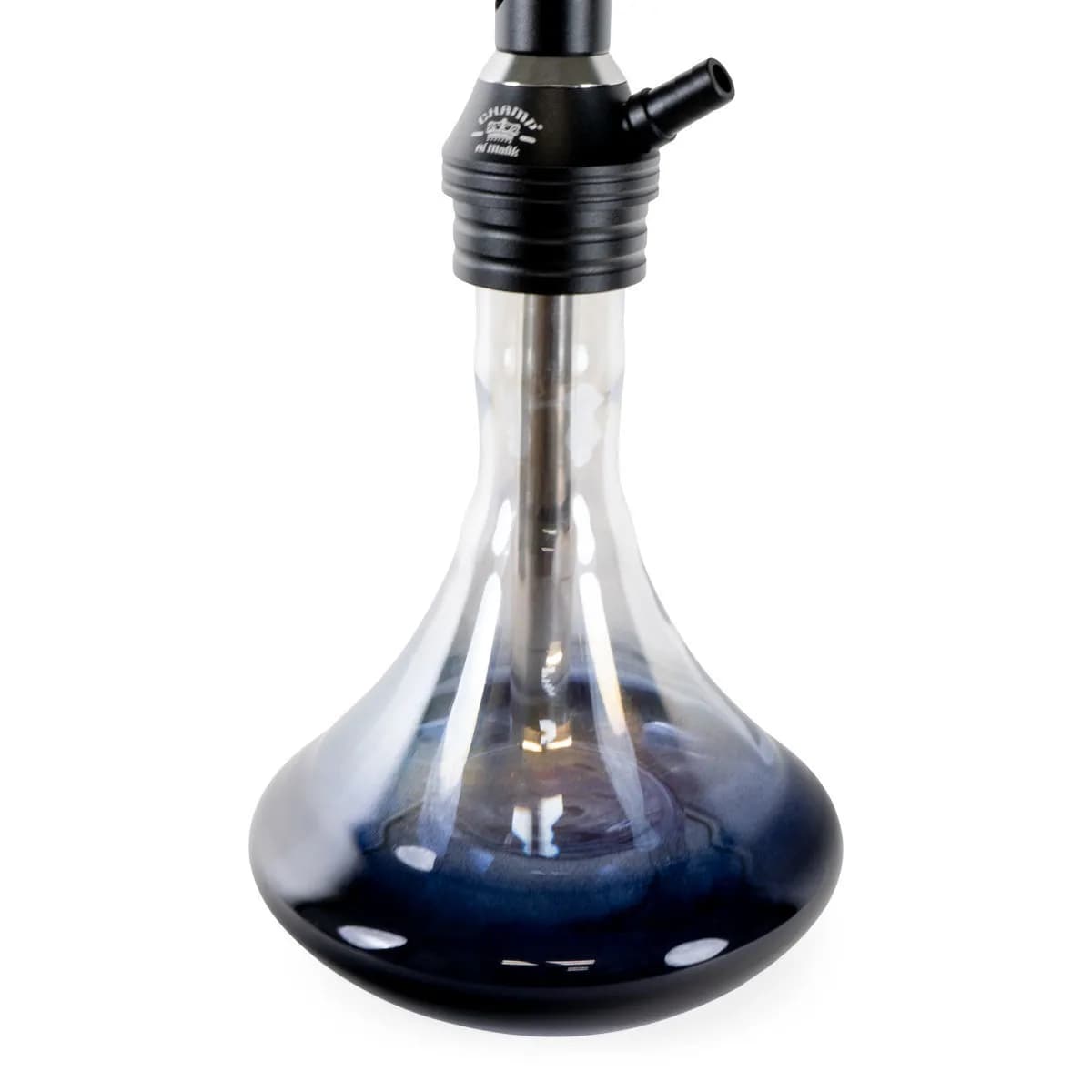 Jorf lasishisha 57cm (Champ Al Malik)