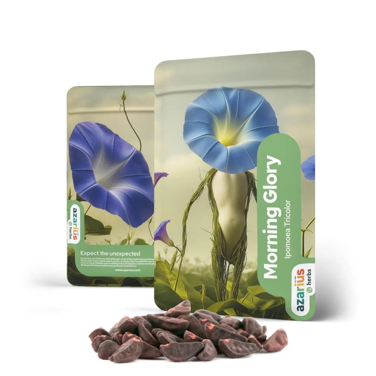 Morning Glory -siemenet