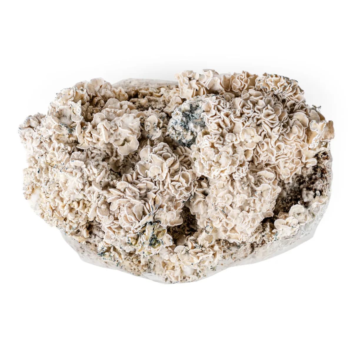 Ready-2-Grow-kasvatuspussi 'Enigma'
