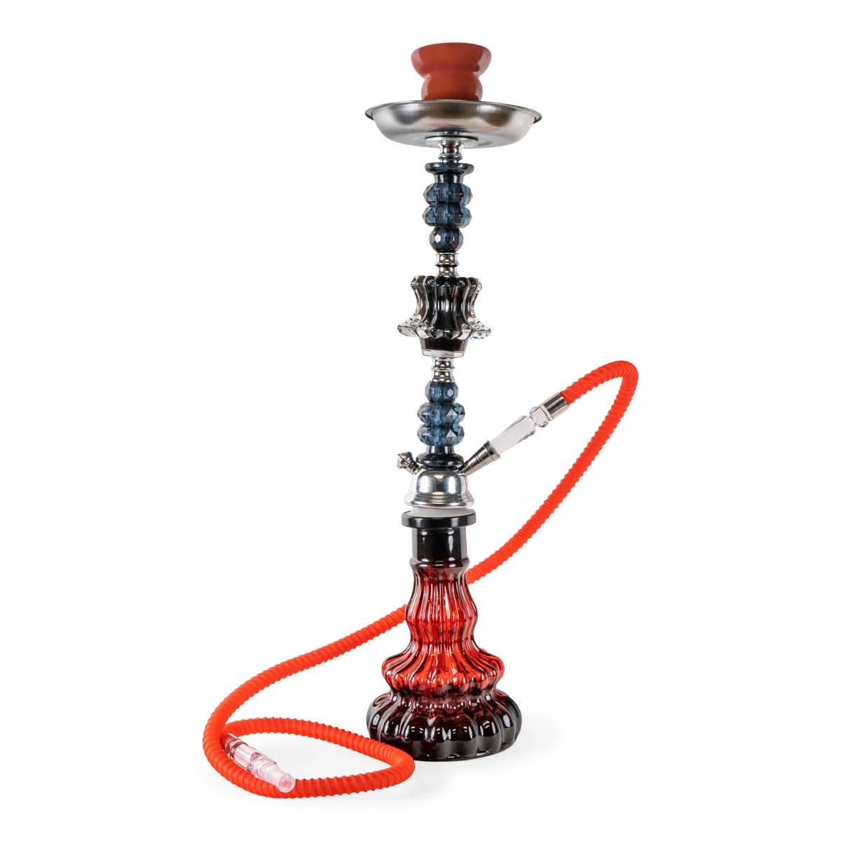 Sidi lasishisha 53cm (Champ Al Malik)