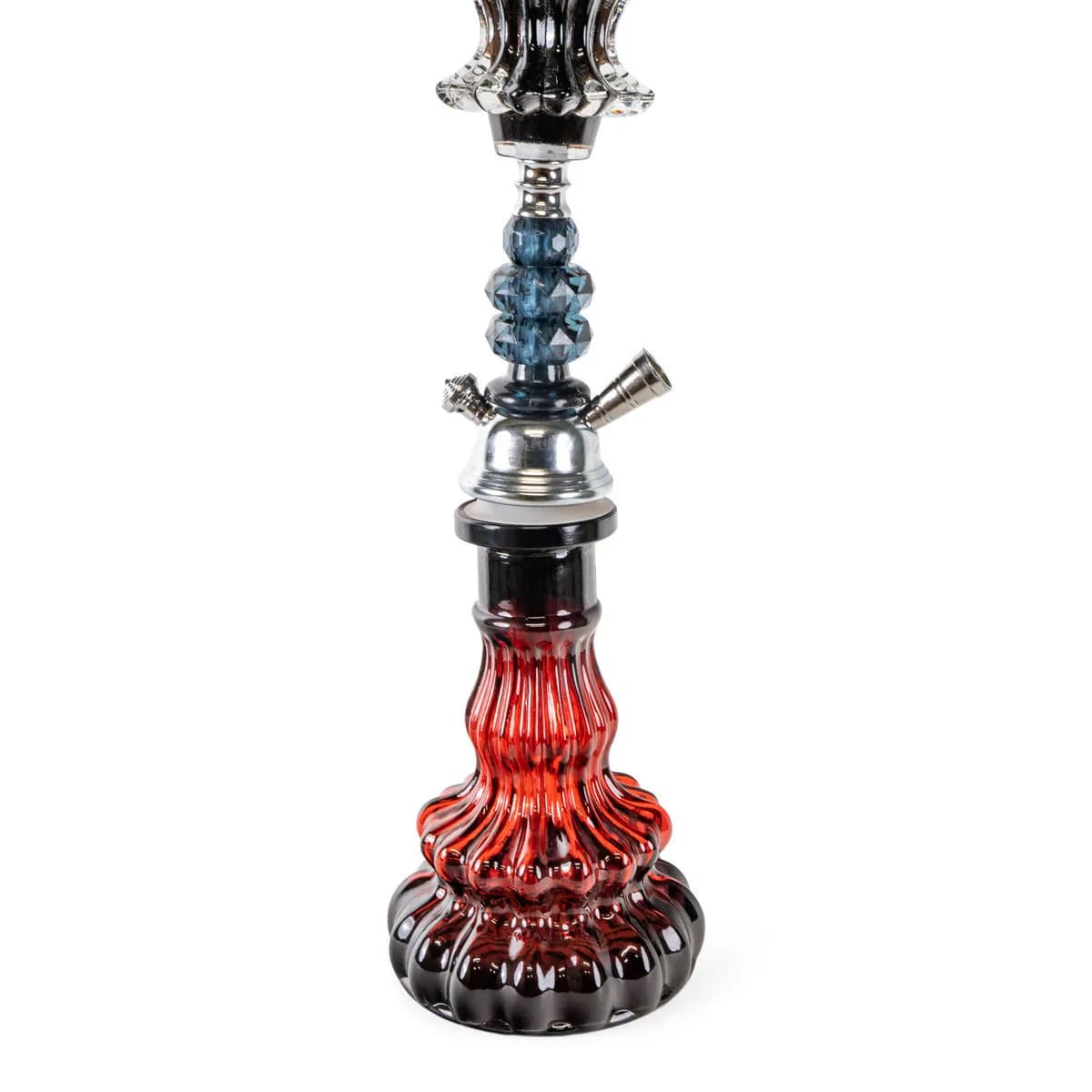 Sidi lasishisha 53cm (Champ Al Malik)