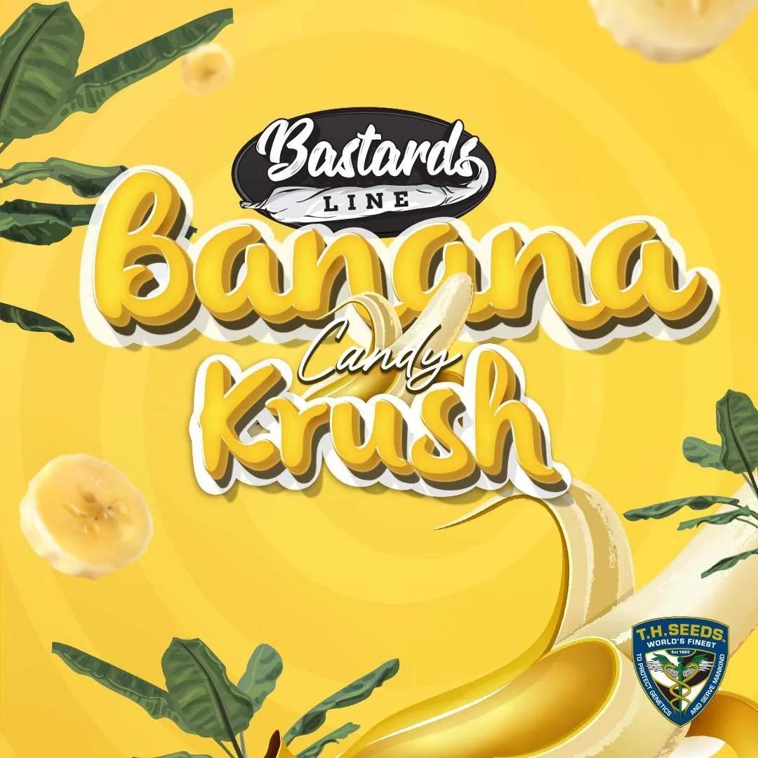 Banana Candy Krush (T.H.Seeds)