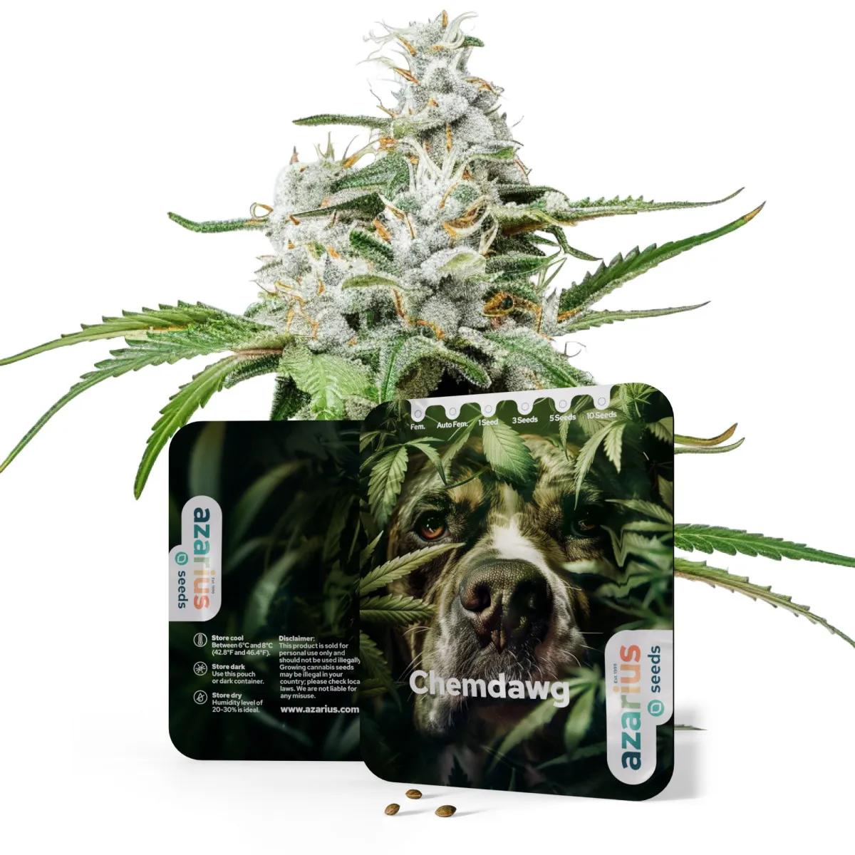 Chemdawg Auto