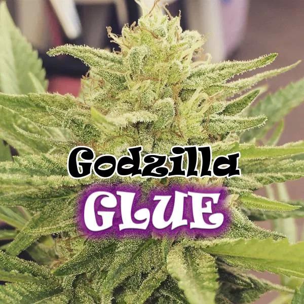 Godzilla Glue