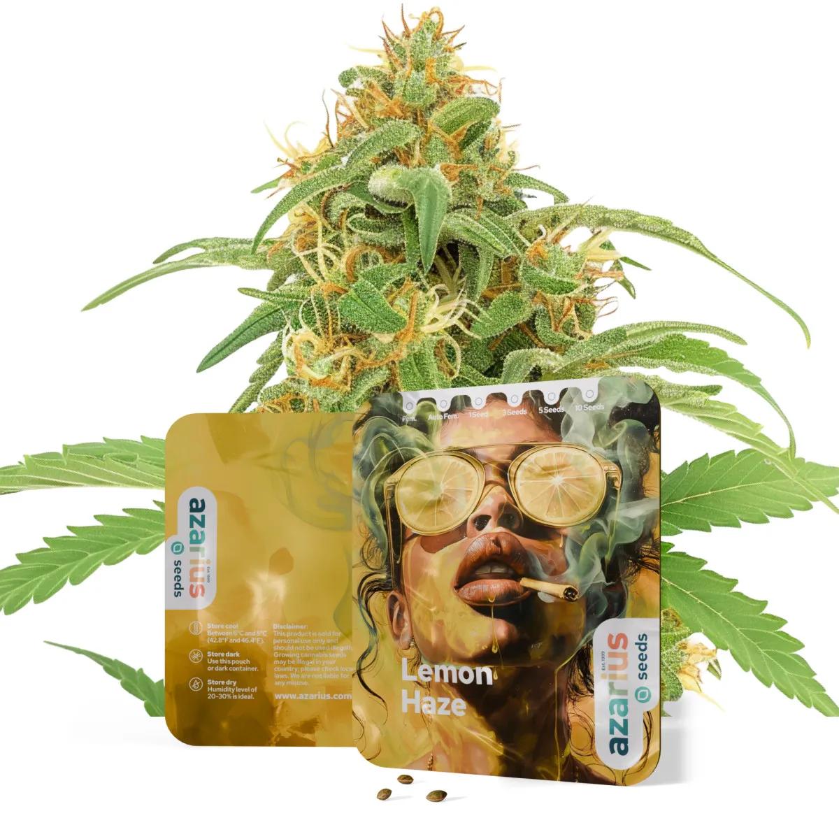 Lemon Haze