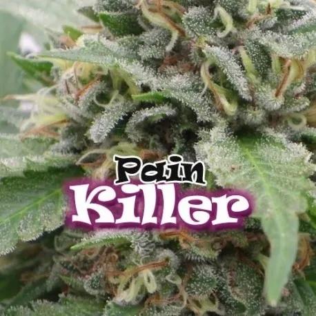 PainKiller