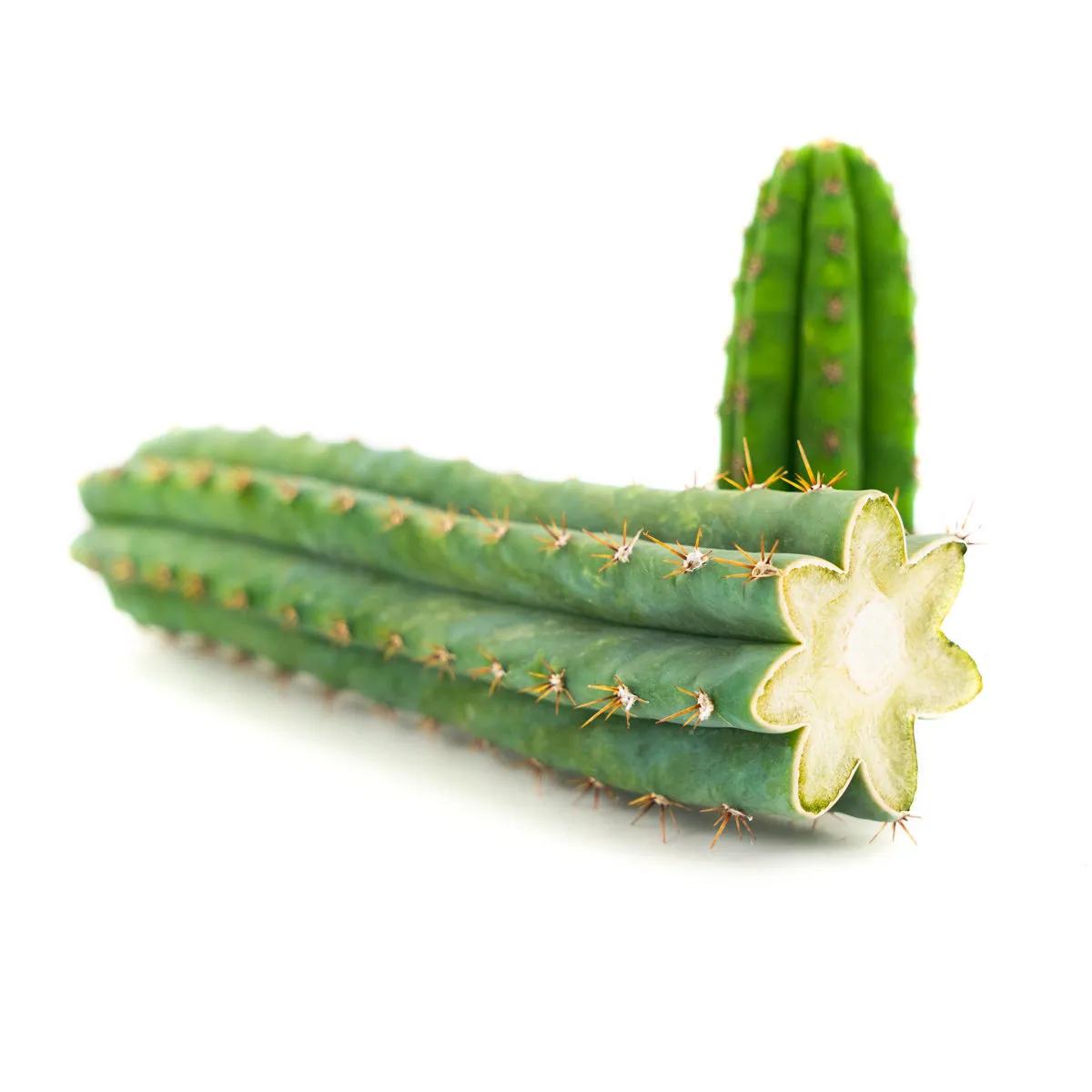 Perun soihtukaktus