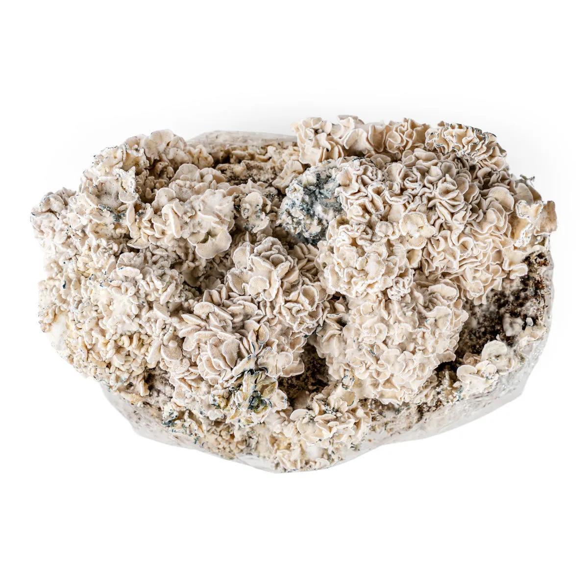 Ready-2-Grow-kasvatuspussi 'Enigma'