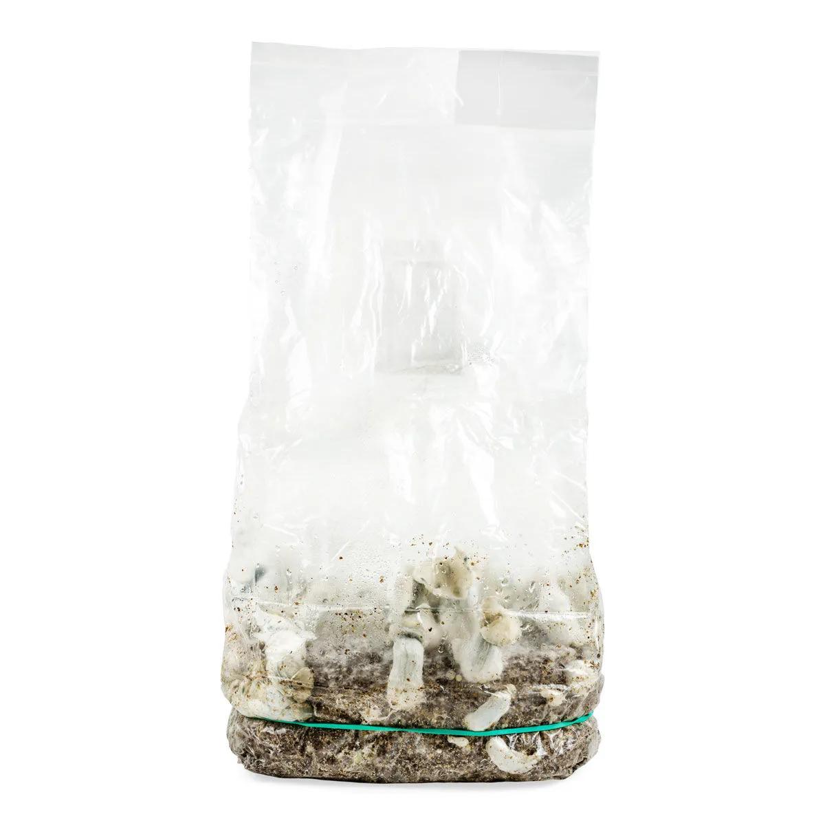 Ready-2-Grow-kasvatuspussi 'Jack Rabbit'