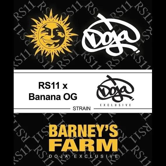 RS11 x Banana OG