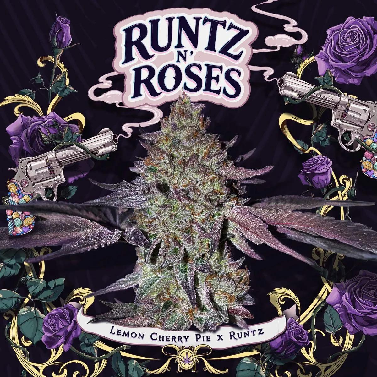 Runtz 'N Roses (T.H.Seeds)