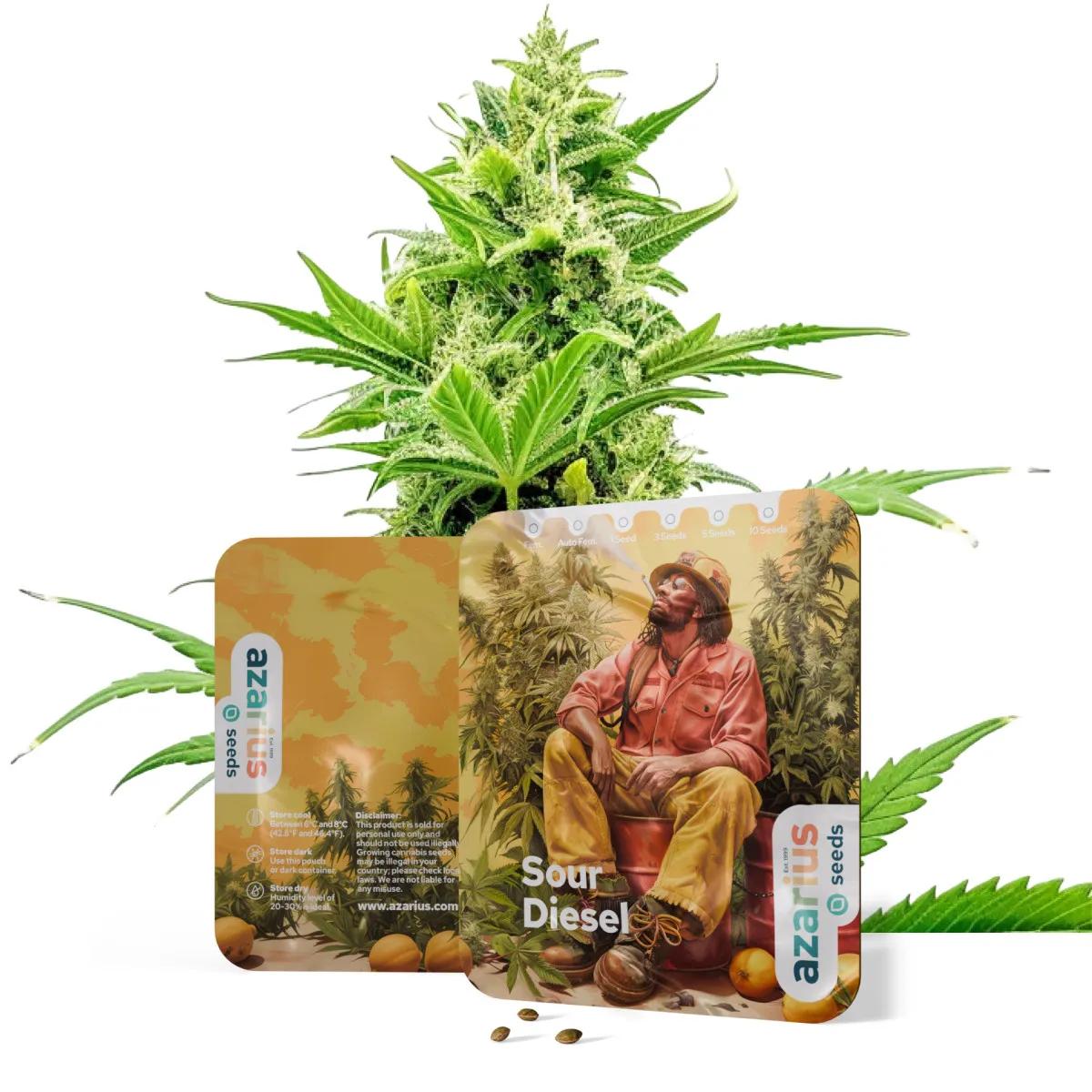 Sour Diesel Auto
