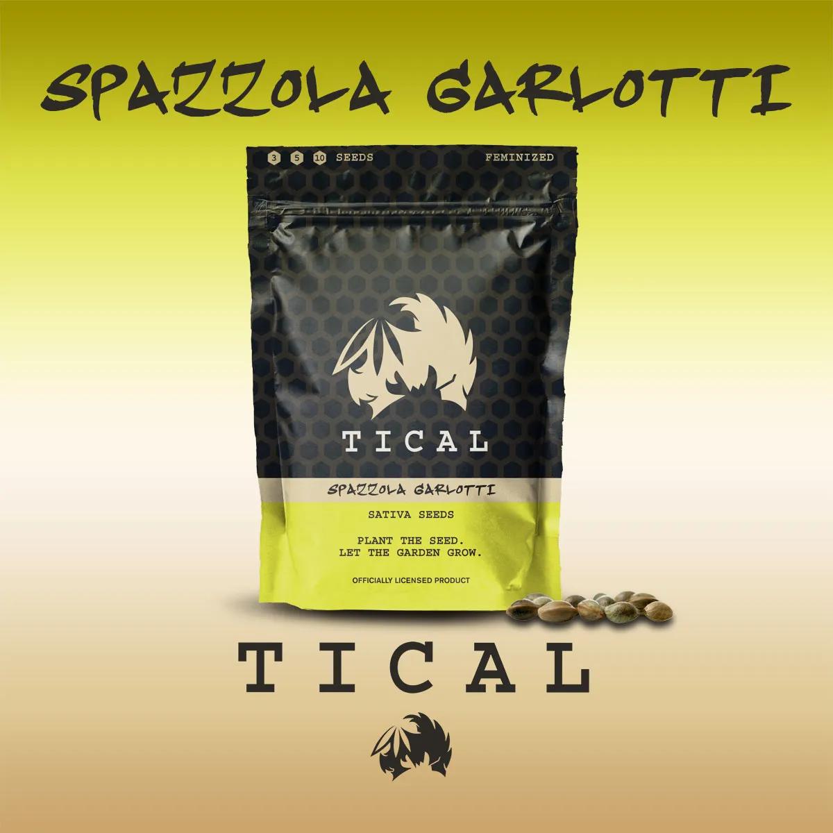 Spazzola Garletti (TICAL)