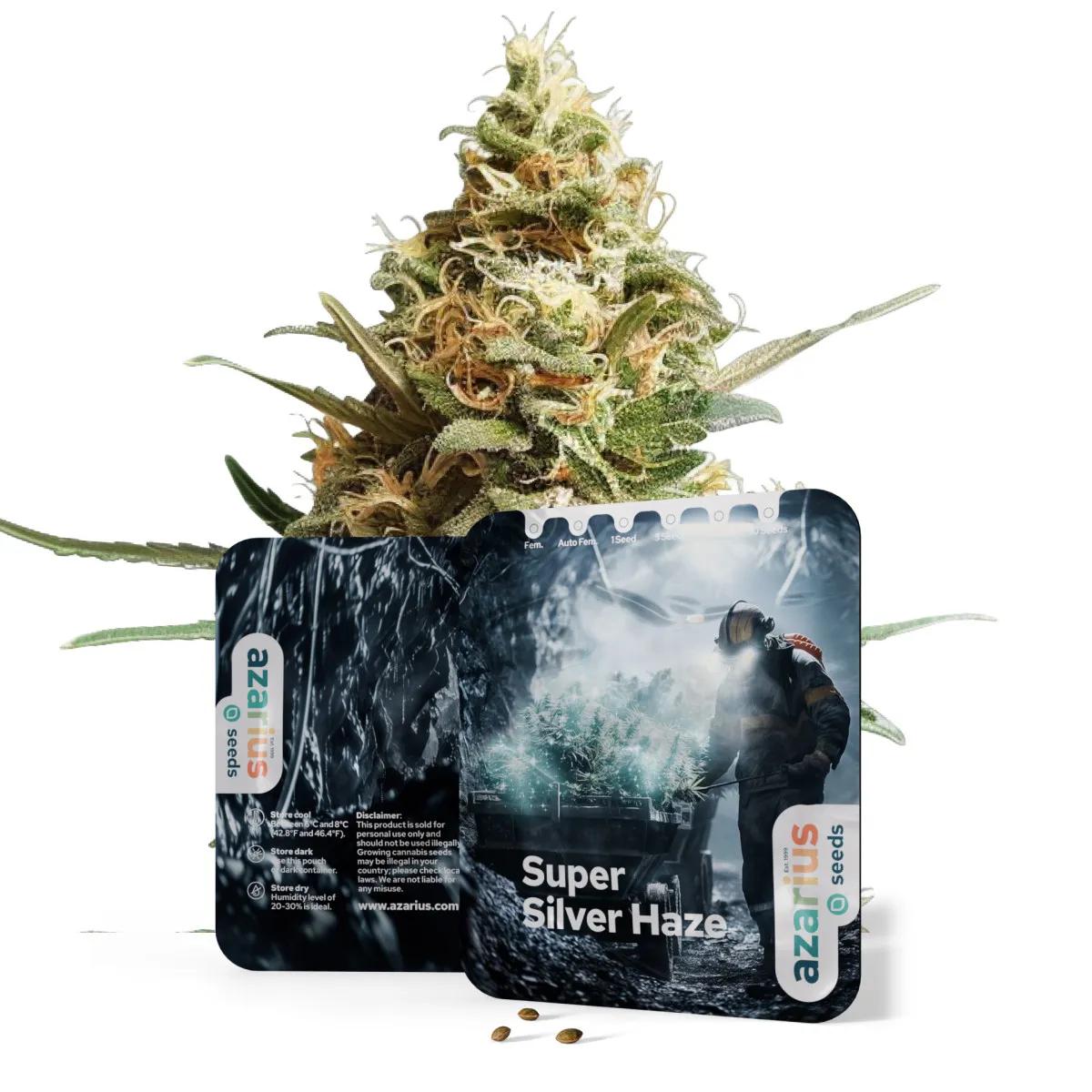 Super Silver Haze
