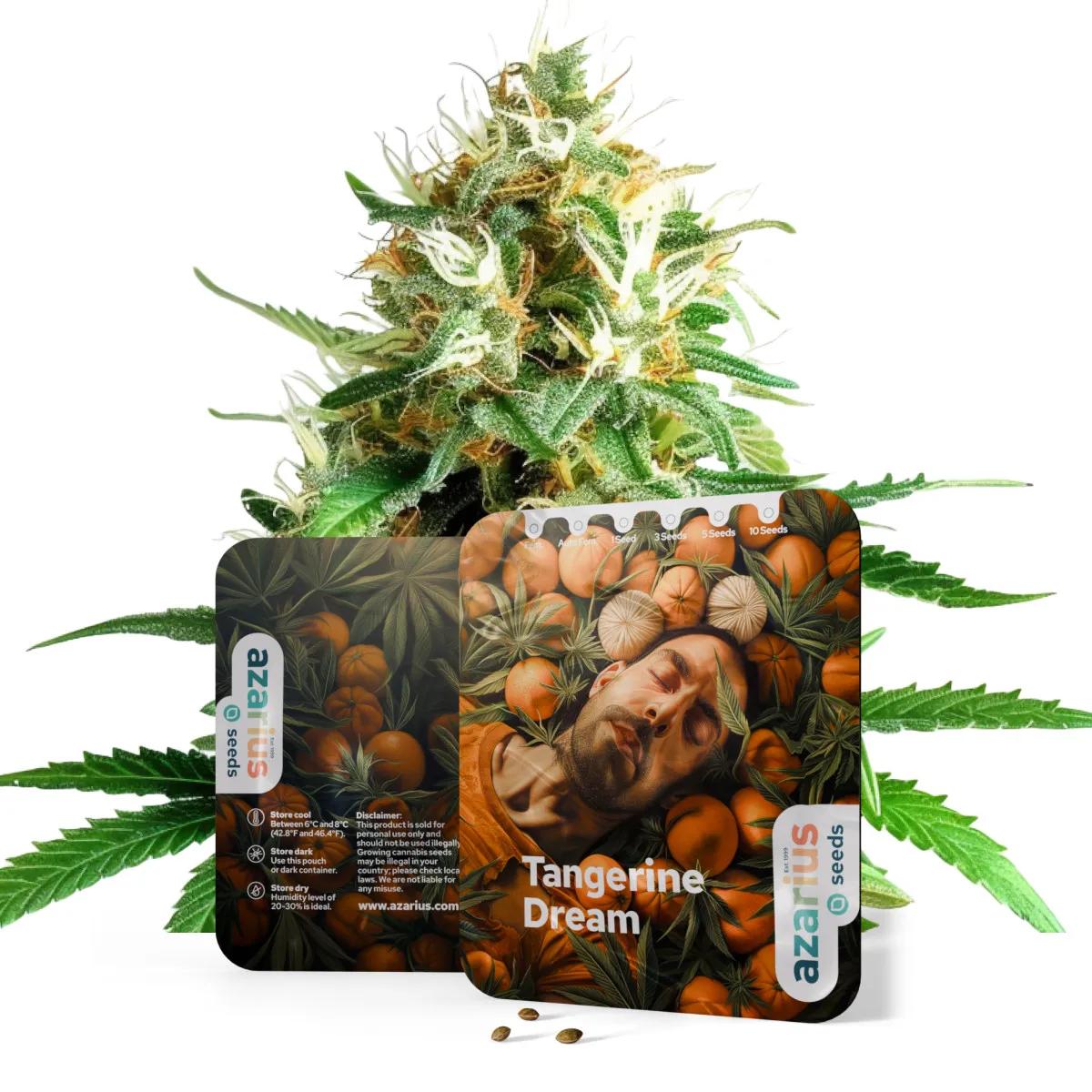 Tangerine Dream