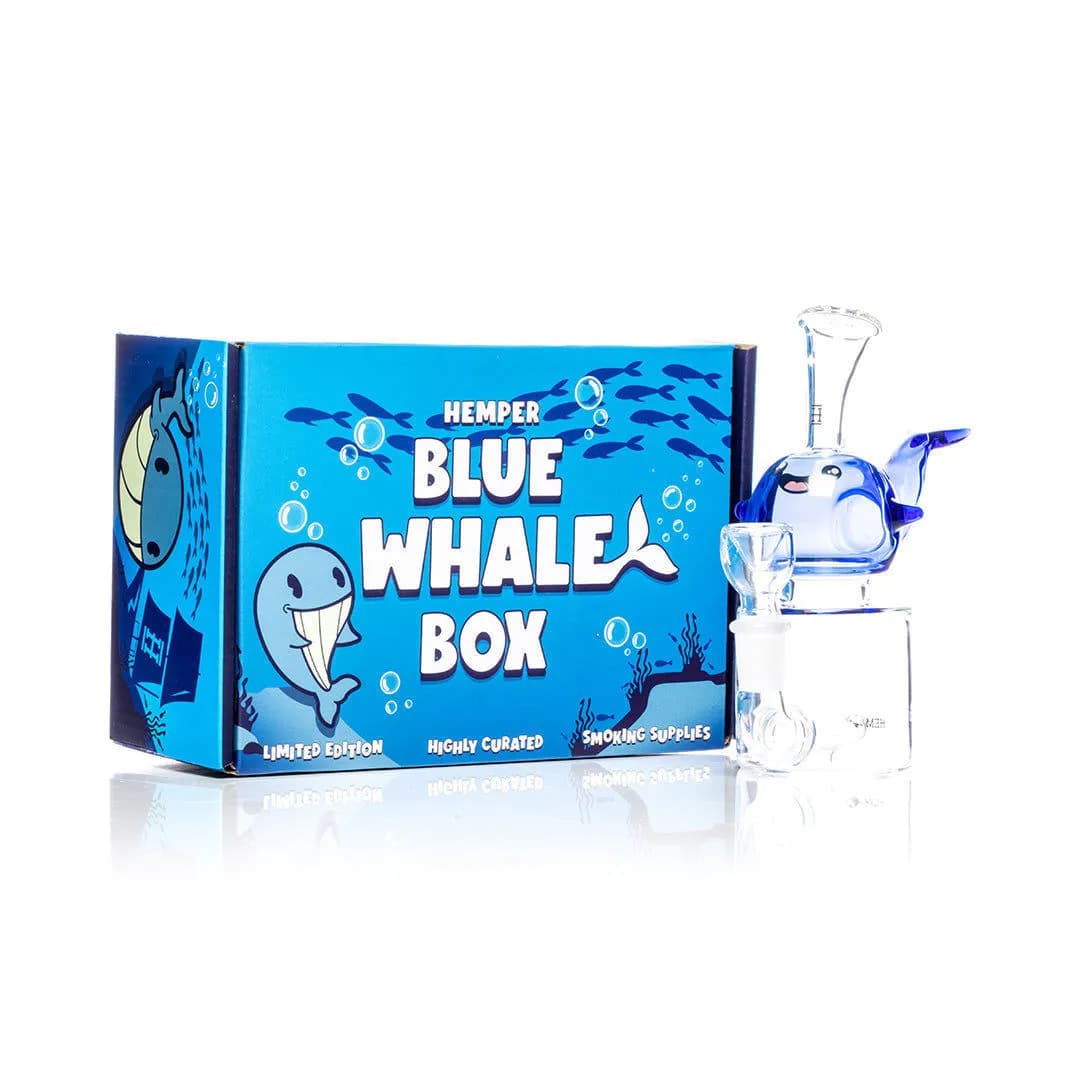 Hemper Blue Whale -bongi
