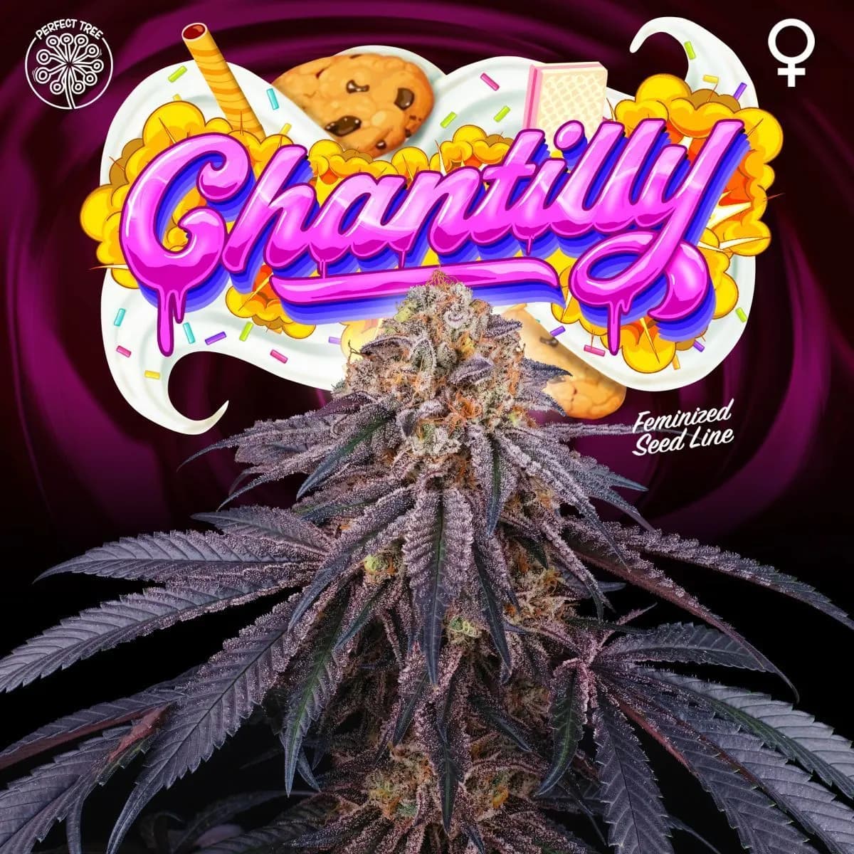 Chantilly