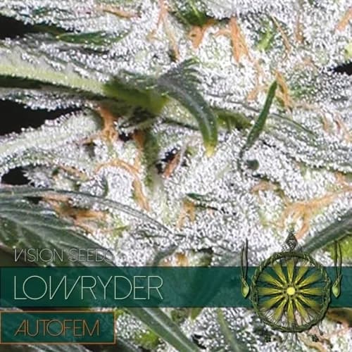 Lowryder