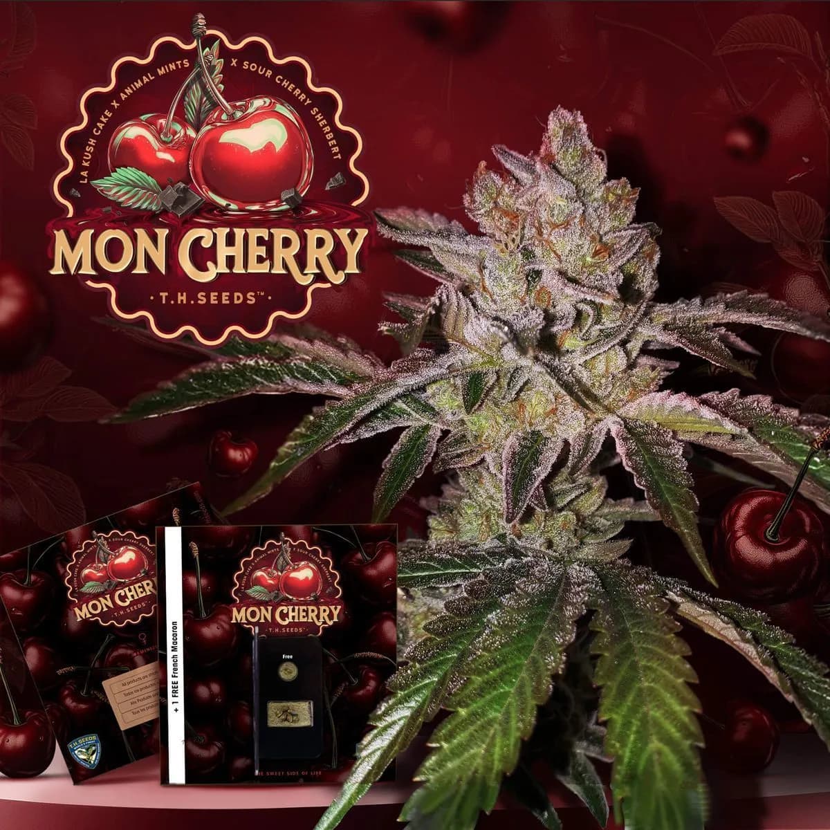 Mon Cherry (T.H.Seeds™)