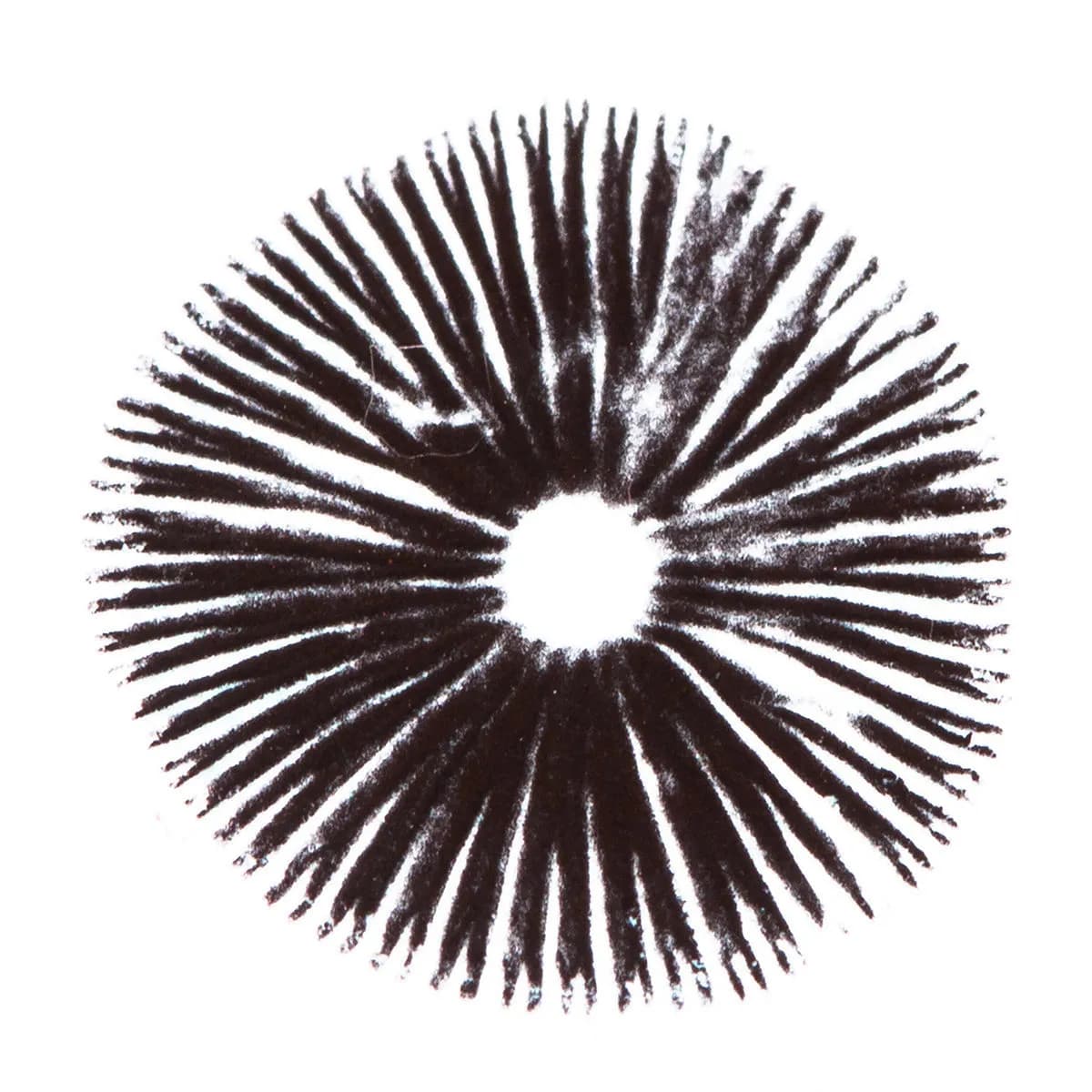 Itiöprintti Psilocybe Cubensis Golden Teacher