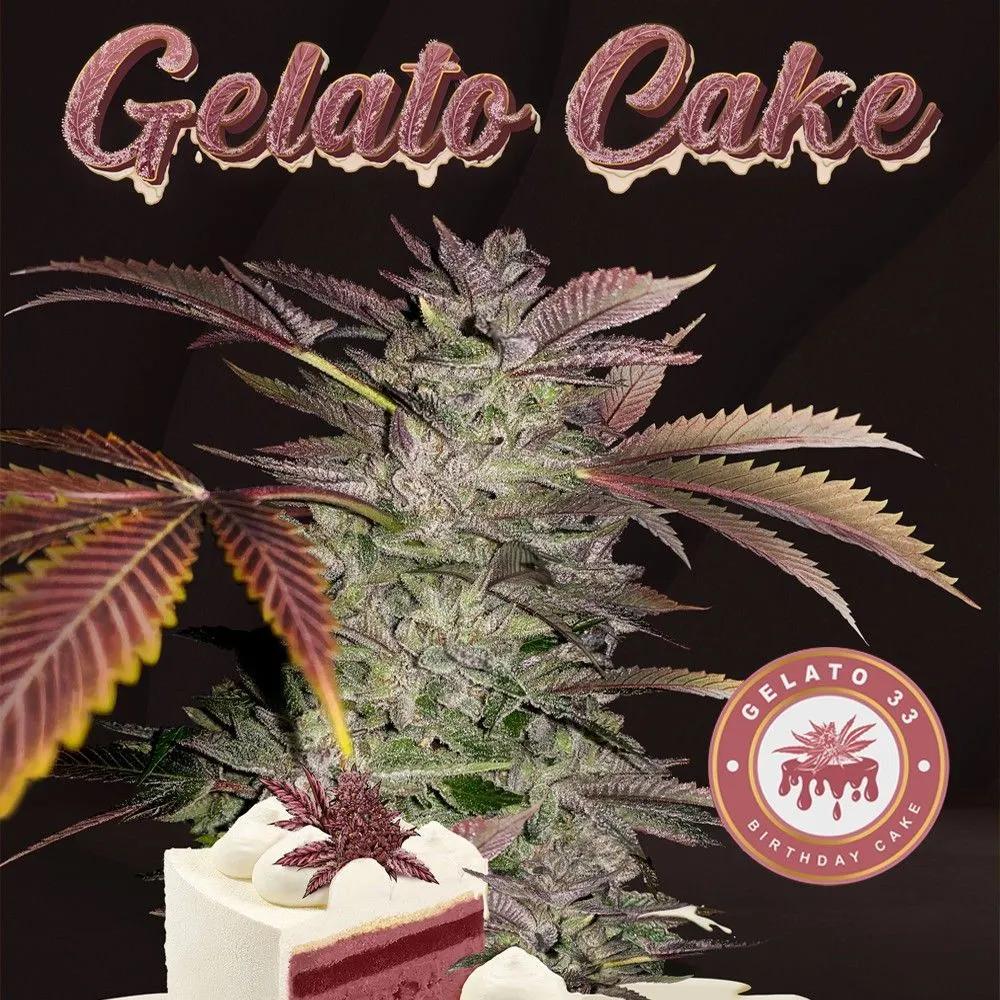 Gelato Cake (T.H.Seeds)