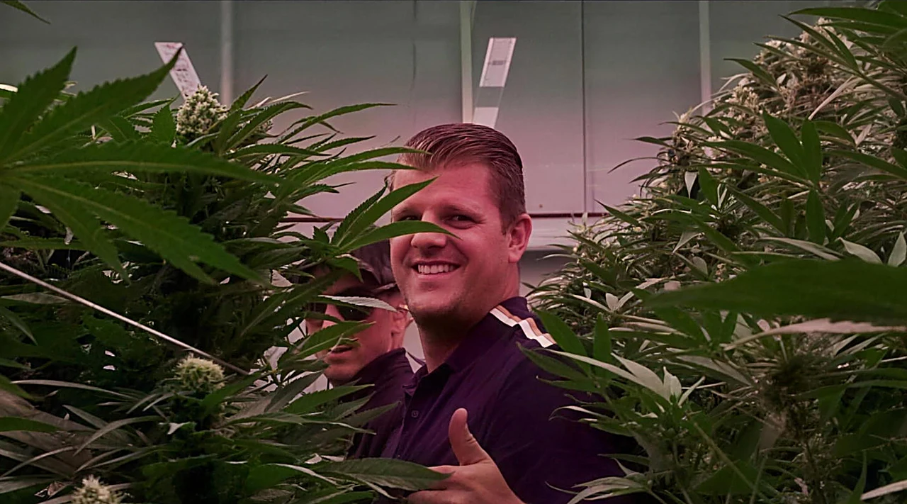 AZARIUS · Inexon sisällä: paikassa, jossa kannabiksen genetiikkaa oikeasti testataan